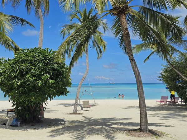 Quels sont les critères à prendre en compte pour choisir une destination écoresponsable ?