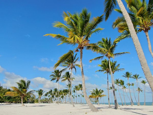 Quelles sont les meilleures astuces pour profiter de moments de calme en camping ?